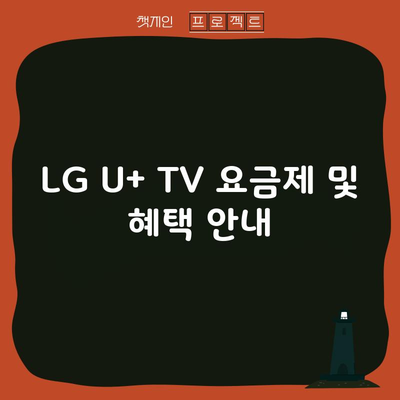 LG U+ TV 요금제 및 혜택 안내