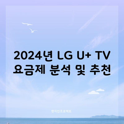 2024년 LG U+ TV 요금제 분석 및 추천