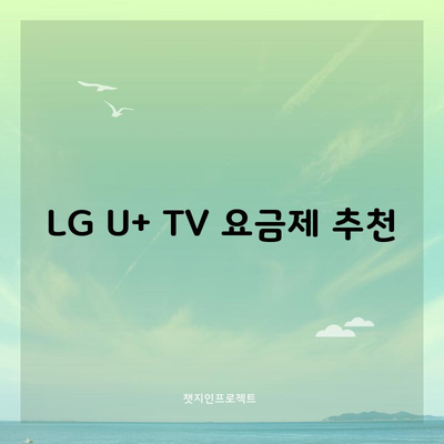 LG U+ TV 요금제 추천