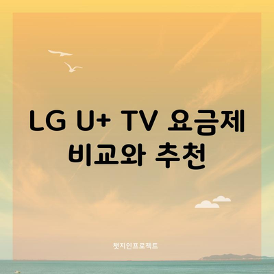 LG U+ TV 요금제 비교와 추천