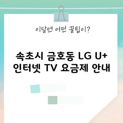 속초시 금호동 LG U+ 인터넷 TV 요금제 안내