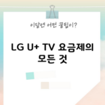 LG U+ TV 요금제의 모든 것