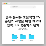 중구 운서동 효율적인 TV 콘텐츠 시청을 위한 최고의 선택, LG 셋톱박스 완벽 가이드