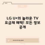 LG U+의 놀라운 TV 요금제 혜택! 모든 정보 공개