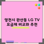 영천시 완산동 LG TV 요금제 비교와 추천