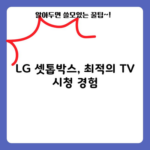 LG 셋톱박스, 최적의 TV 시청 경험