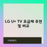 LG U+ TV 요금제 추천 및 비교