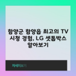 함양군 함양읍 최고의 TV 시청 경험, LG 셋톱박스 알아보기