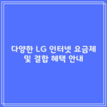 다양한 LG 인터넷 요금제 및 결합 혜택 안내