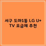 서구 도마1동 LG U+ TV 요금제 추천