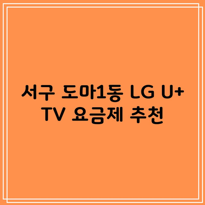 서구 도마1동 LG U+ TV 요금제 추천