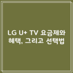 LG U+ TV 요금제와 혜택, 그리고 선택법