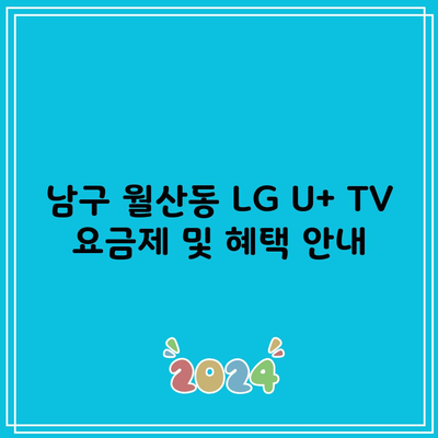 남구 월산동 LG U+ TV 요금제 및 혜택 안내