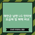 태안군 남면 LG 인터넷 요금제 및 혜택 비교