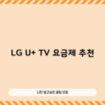 LG U+ TV 요금제 추천