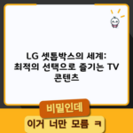 LG 셋톱박스의 세계: 최적의 선택으로 즐기는 TV 콘텐츠