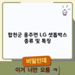 합천군 용주면 LG 셋톱박스 종류 및 특징