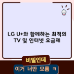 LG U+와 함께하는 최적의 TV 및 인터넷 요금제