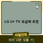 LG U+ TV 요금제 추천