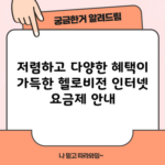 저렴하고 다양한 혜택이 가득한 헬로비전 인터넷 요금제 안내