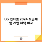 LG 인터넷 2024 요금제 및 가입 혜택 비교