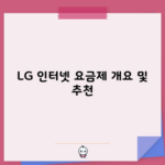 LG 인터넷 요금제 개요 및 추천