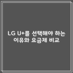 LG U+를 선택해야 하는 이유와 요금제 비교