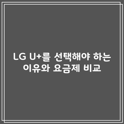 LG U+를 선택해야 하는 이유와 요금제 비교