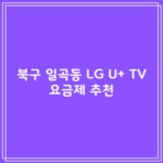 북구 일곡동 LG U+ TV 요금제 추천