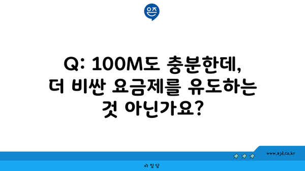 Q: 100M도 충분한데, 더 비싼 요금제를 유도하는 것 아닌가요?