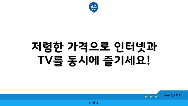 저렴한 가격으로 인터넷과 TV를 동시에 즐기세요!