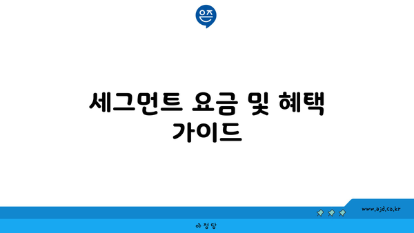 세그먼트 요금 및 혜택 가이드