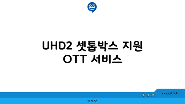 UHD2 셋톱박스 지원 OTT 서비스