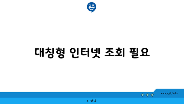 대칭형 인터넷 조회 필요