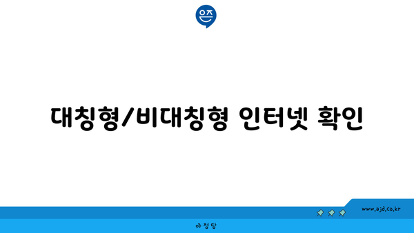 대칭형/비대칭형 인터넷 확인