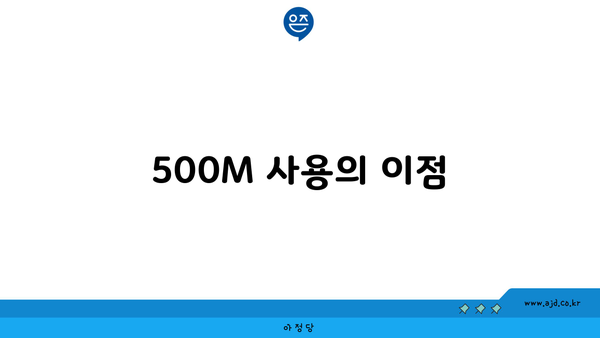 500M 사용의 이점