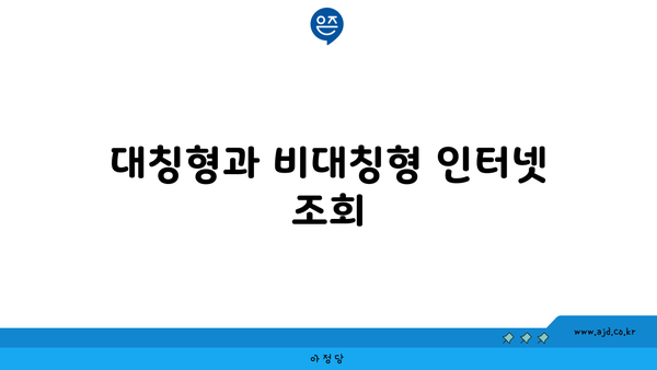 대칭형과 비대칭형 인터넷 조회