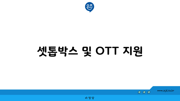 셋톱박스 및 OTT 지원