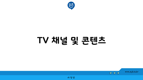 TV 채널 및 콘텐츠