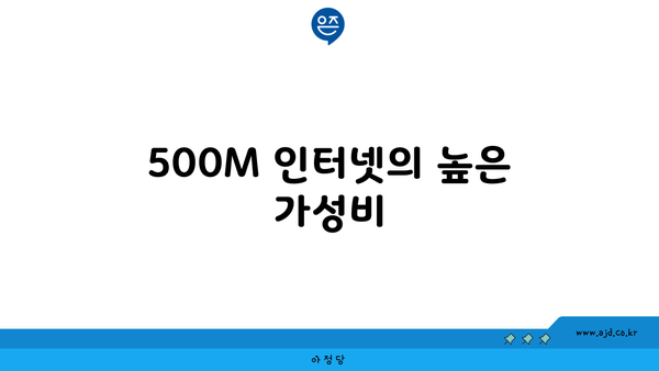 500M 인터넷의 높은 가성비