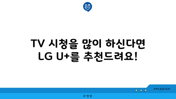 TV 시청을 많이 하신다면 LG U+를 추천드려요!