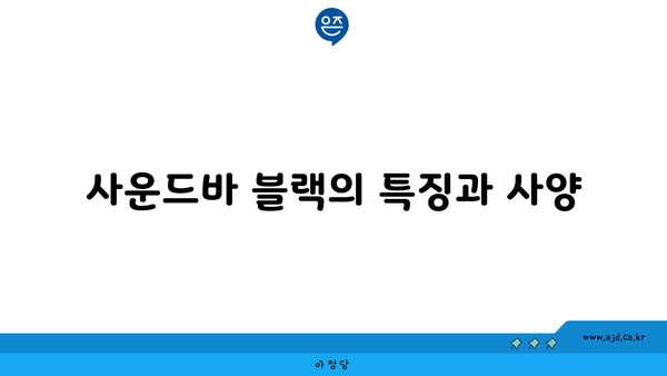 사운드바 블랙의 특징과 사양