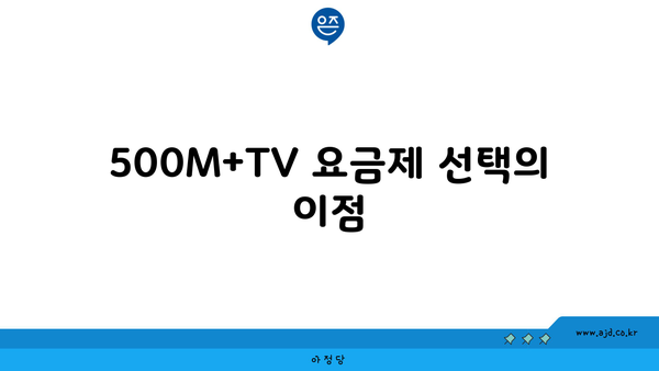 500M+TV 요금제 선택의 이점