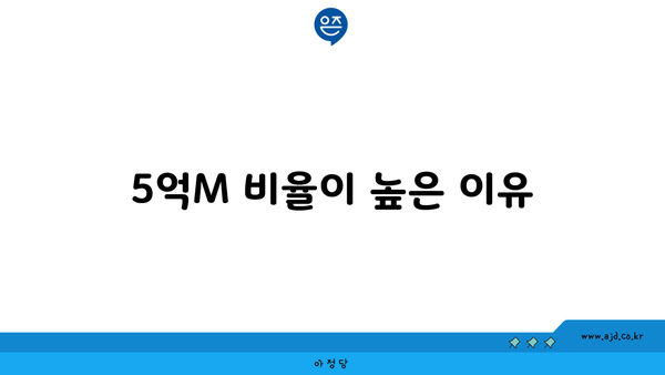 5억M 비율이 높은 이유