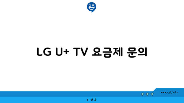 LG U+ TV 요금제 문의