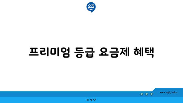 프리미엄 등급 요금제 혜택