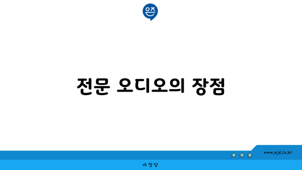 전문 오디오의 장점