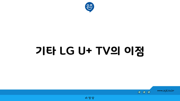 기타 LG U+ TV의 이점