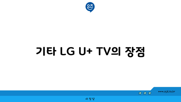 기타 LG U+ TV의 장점