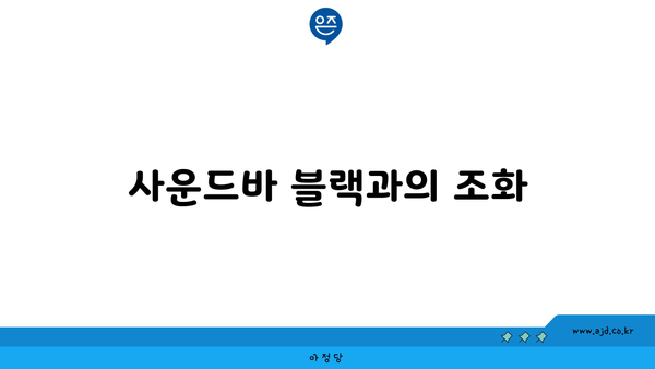 사운드바 블랙과의 조화